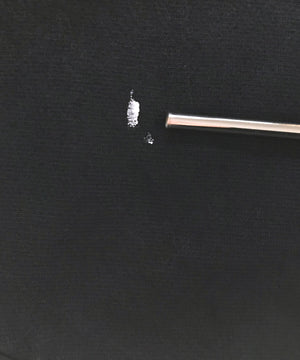 チャンピオンリバース