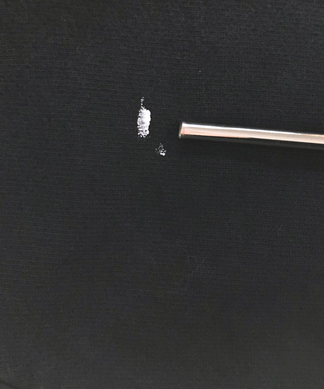 チャンピオンリバース