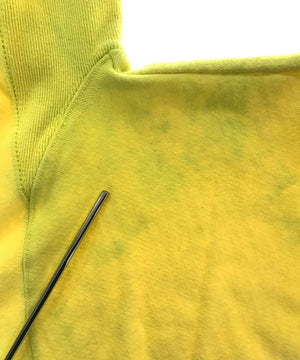 チャンピオンリバース