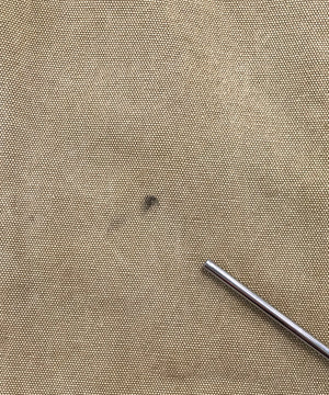 Dickies ダック地 ペインターパンツ 36×34