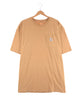 Carhartt Tシャツ ワンポイント ロゴ ポケT