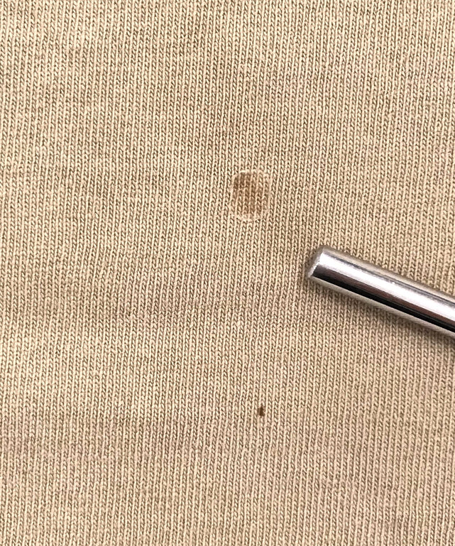 Carhartt Tシャツ ワンポイント ロゴ ポケT