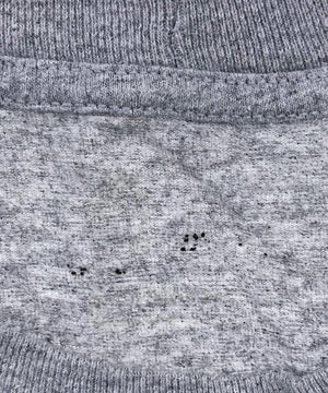 Carhartt Tシャツ ワンポイント ロゴ ポケT