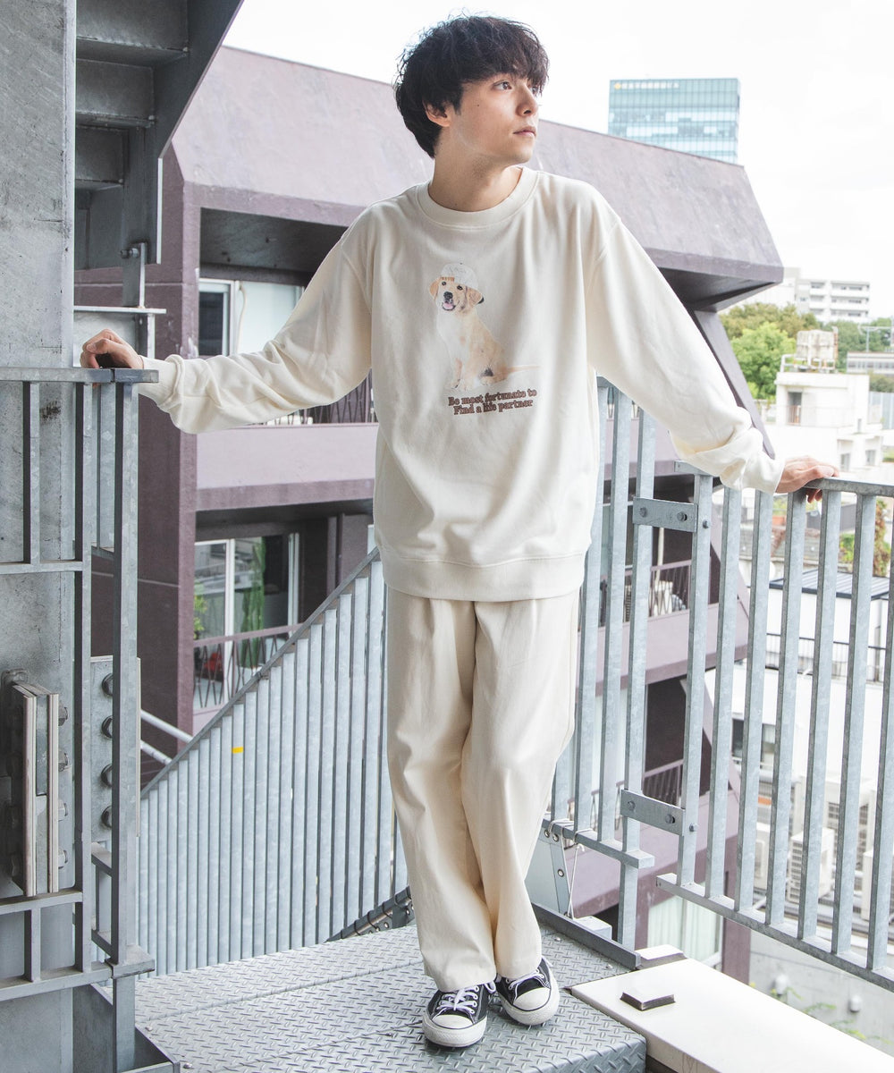 グラフィックプルオーバー2