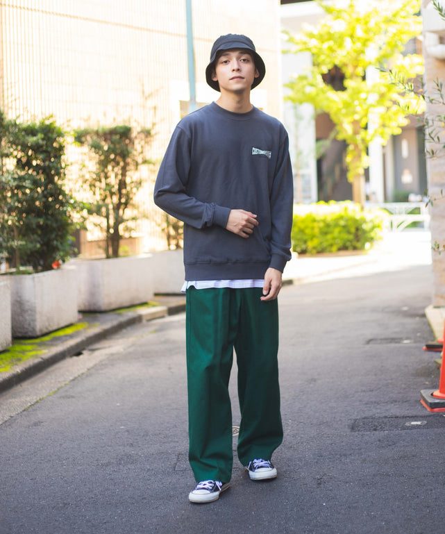グラフィックプルオーバー2