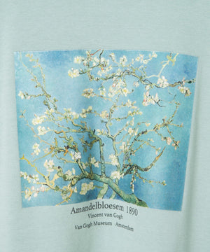 ミント／花咲くアーモンド