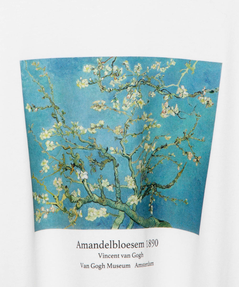 ART COLLECTION LOOSE TEE